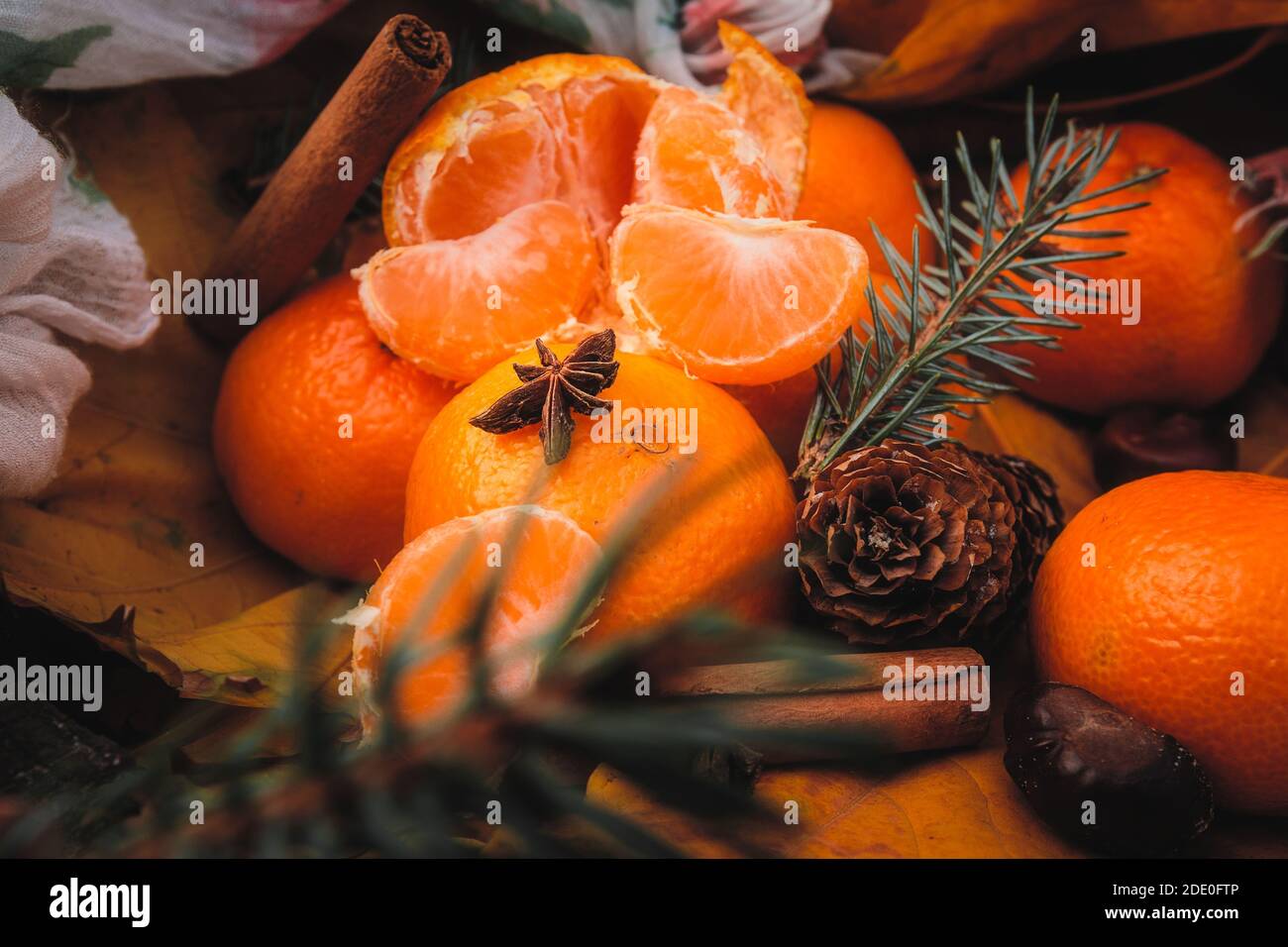 Stella anice fiore spezie sui tangerini maturi con cannella, aghi e coni. New Year Still Life Foto Stock