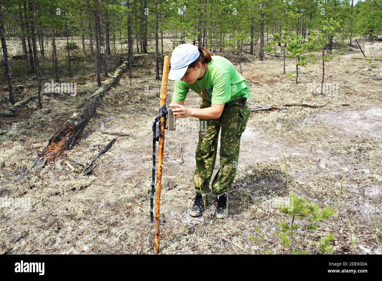 La zoologa della ragazza imposta una trappola della macchina fotografica per osservare gli animali selvatici nella foresta di taiga per raccogliere i dati scientifici. Protezione ambientale, monitoraggio di r Foto Stock