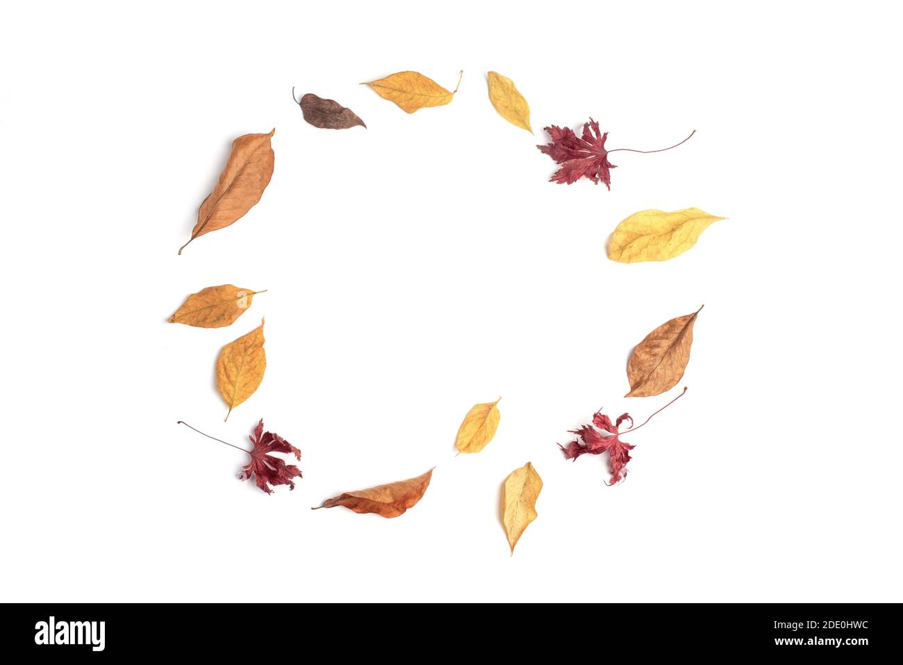 Foglie d'autunno cornice su sfondo di carta bianca. Foto Stock