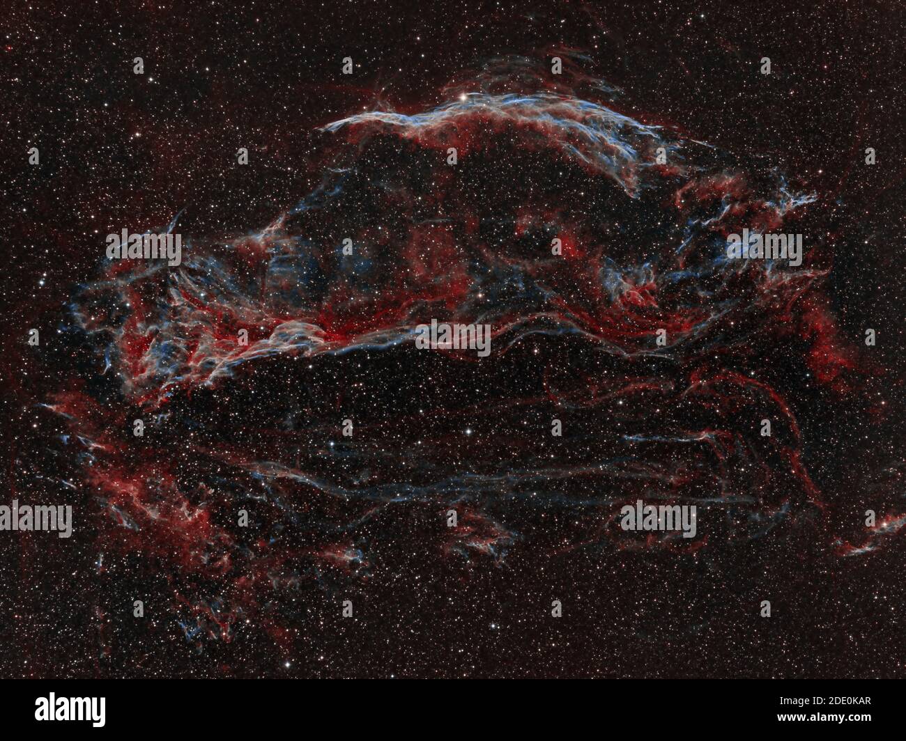 NGC6960 la nebulosa di Western Veil Foto Stock
