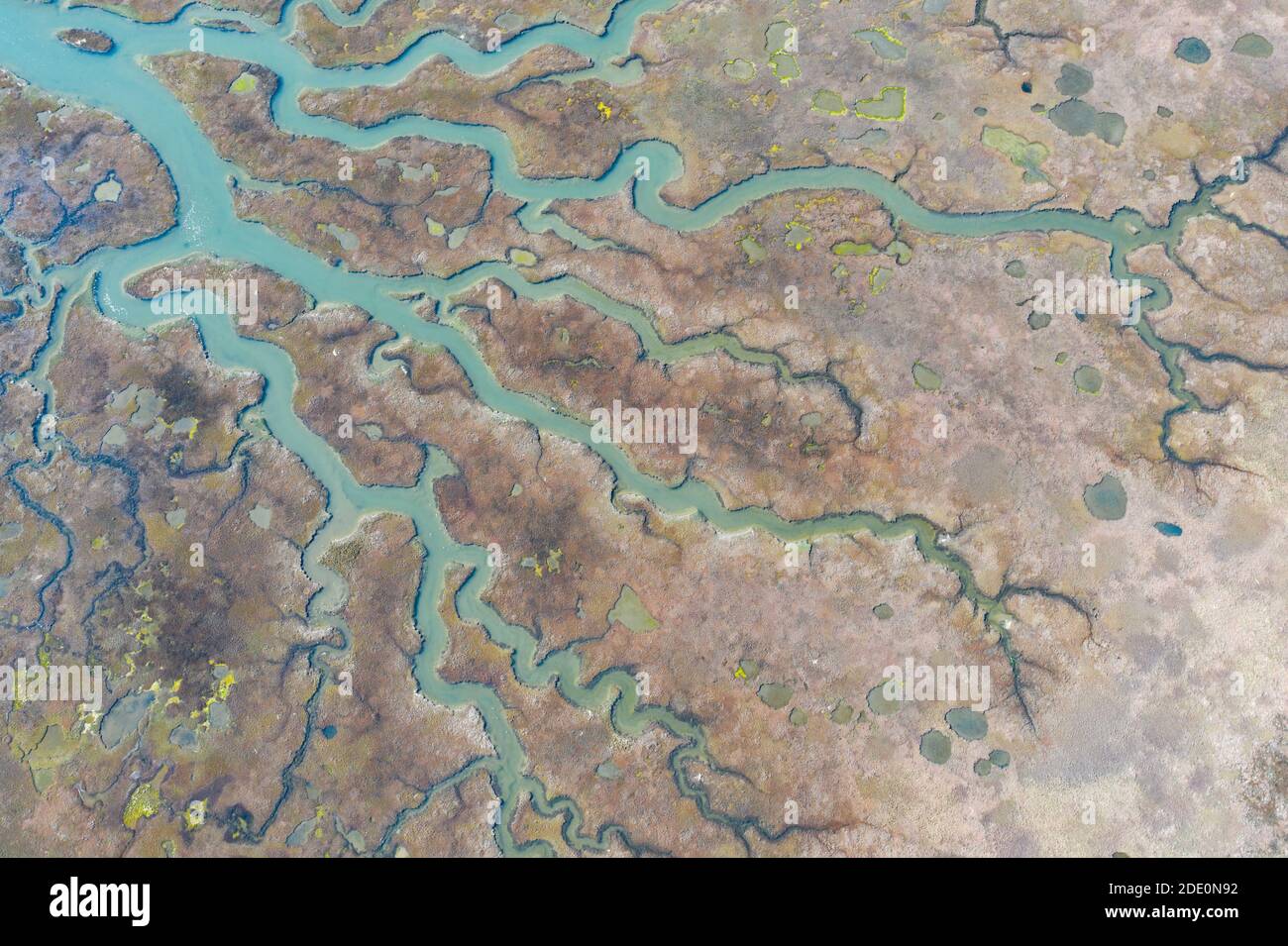 I canali meandering scorrono attraverso una bella estuario nella California Centrale. Gli estuari si formano quando il runoff d'acqua dolce si incontra e si mescola con l'acqua di mare. Foto Stock