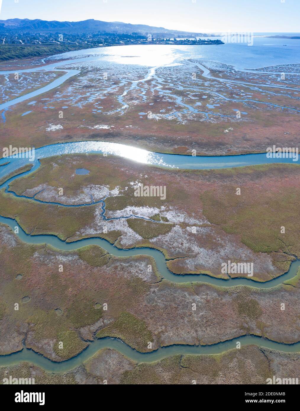 I canali meandering scorrono attraverso una bella estuario nella California Centrale. Gli estuari si formano quando il runoff d'acqua dolce si incontra e si mescola con l'acqua di mare. Foto Stock