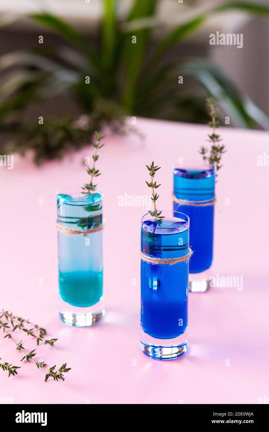 Colpi alcolici blu e verde decorati con un rametto di timo, bicchieri da shot con liquore colorato su sfondo rosa Foto Stock