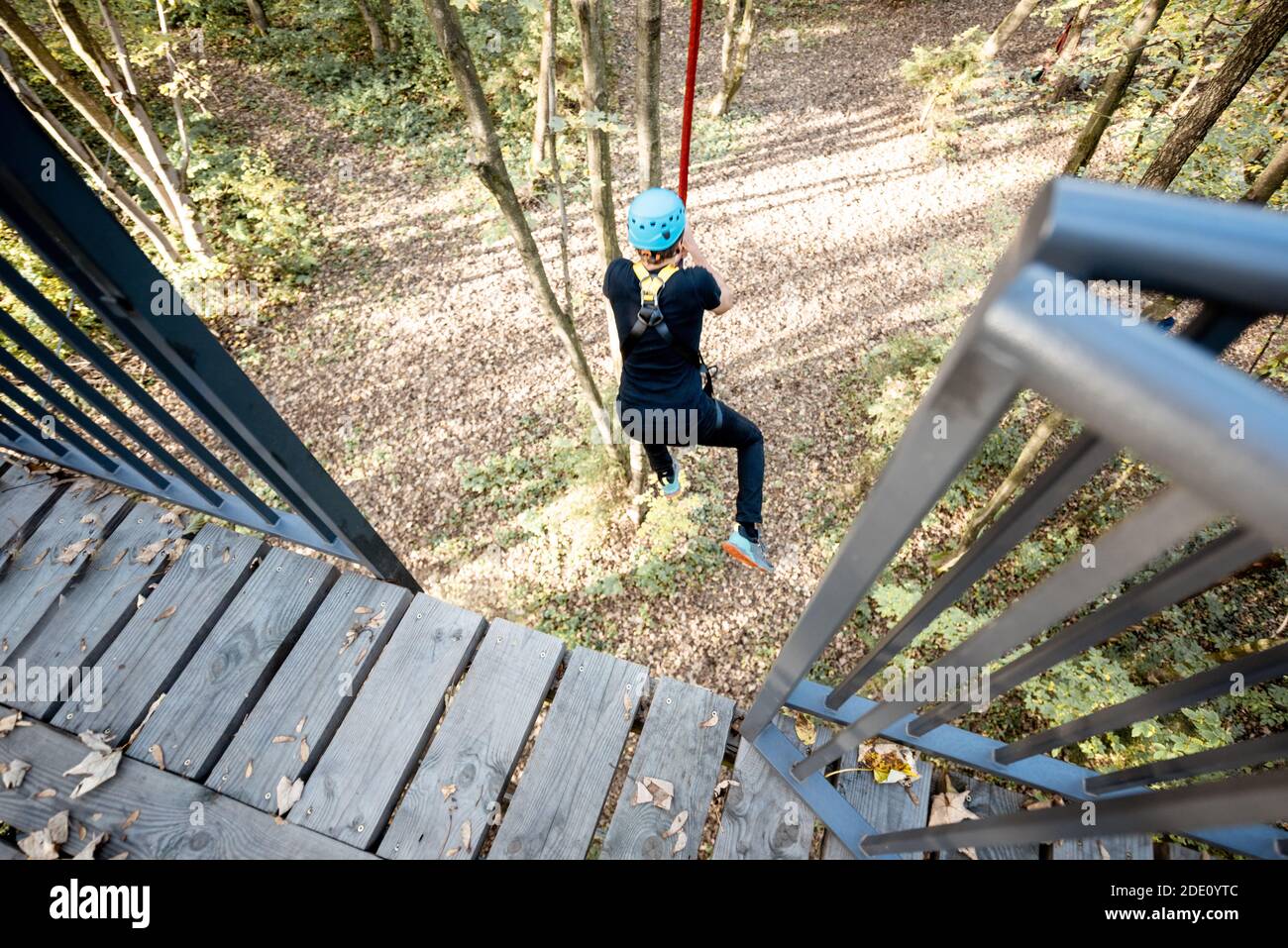 Uomo che salta da una torre bungee, avendo una ricreazione attiva in un parco di corda nella foresta Foto Stock