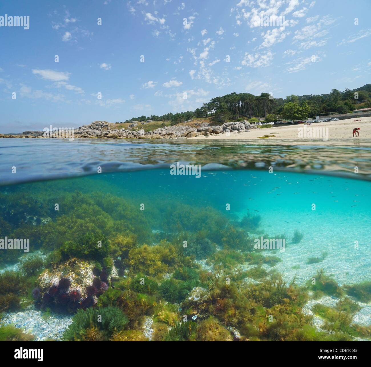 Spagna Galizia costa spiaggia, vista su e sotto la superficie dell'acqua, oceano Atlantico, Bueu, provincia di Pontevedra, Praia de Lagos Foto Stock