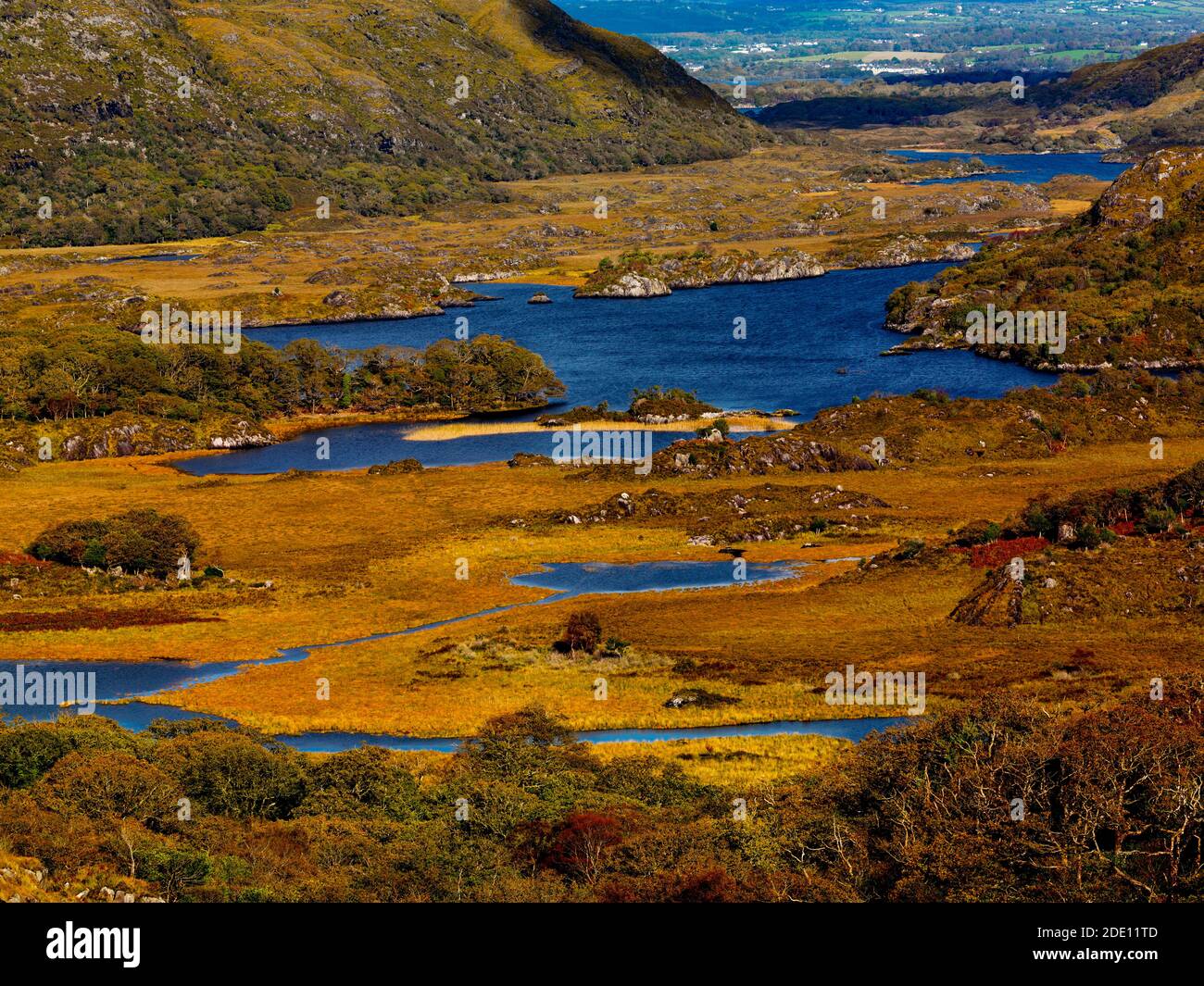 Ladies View, Parco Nazionale di Killarney, nella contea di Kerry, Irlanda Foto Stock