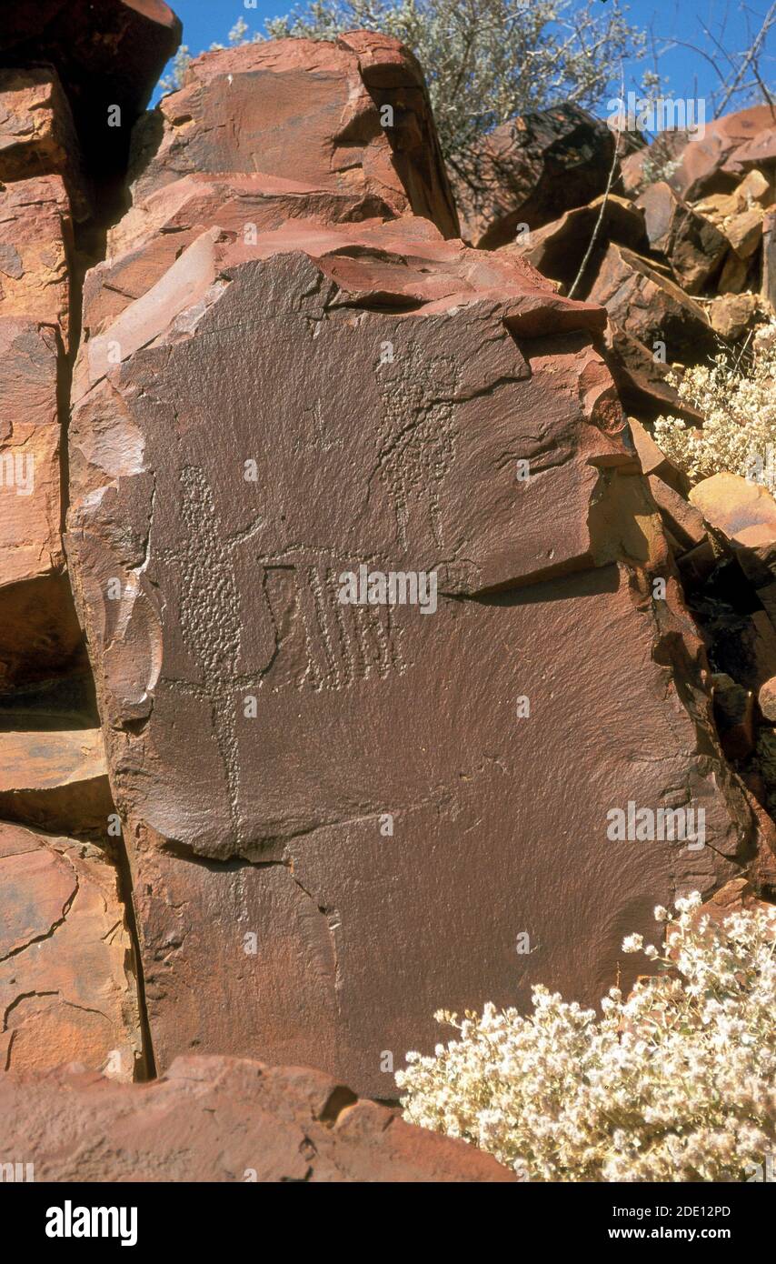 Petroglifi aborigeni in una posizione remota nella Flinders Ranges, Outback South Australia. Questa arte rupestre può derivare dalla cultura Kardan perduta, secoli fa. Foto Stock