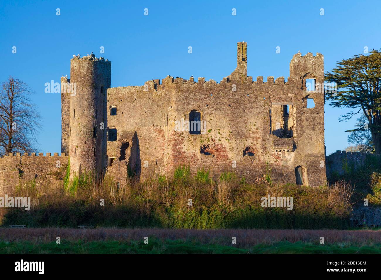 Laugharne Castello, Laugharne, Carmarthenshire, Wales, Regno Unito Foto Stock