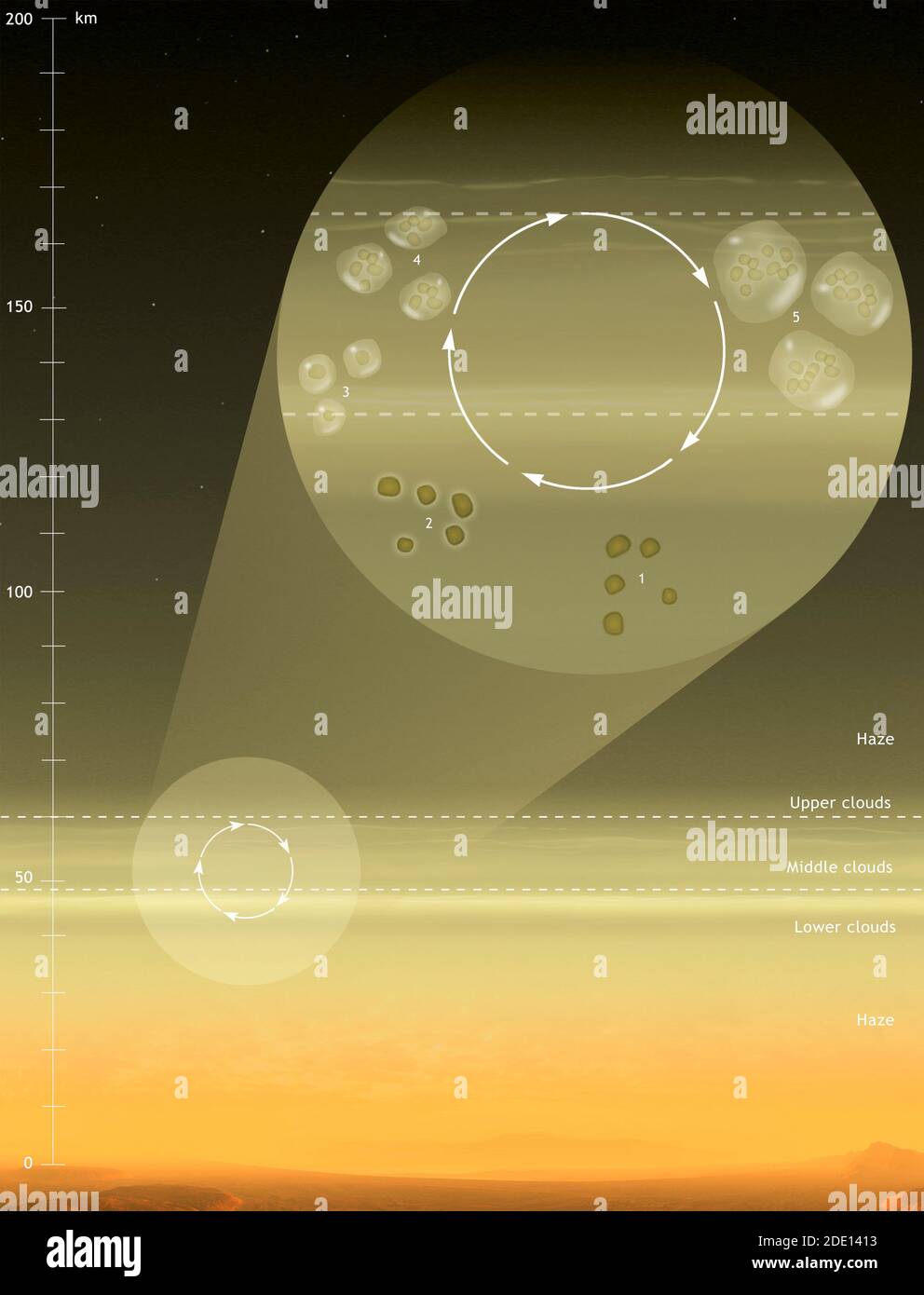 Ciclo di vita microbico su Venere Foto Stock