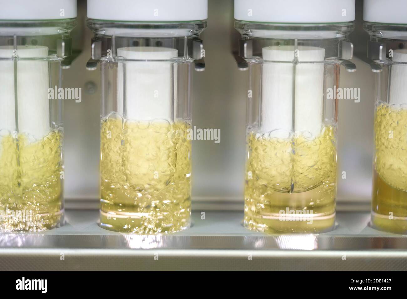 Estrattore Soxhlet Foto Stock