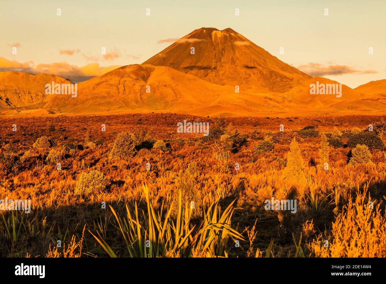 Il monte Ngauruhoe, parco nazionale di Tongariro, Sito Patrimonio Mondiale dell'UNESCO, Isola del nord, Nuova Zelanda, Pacific Foto Stock