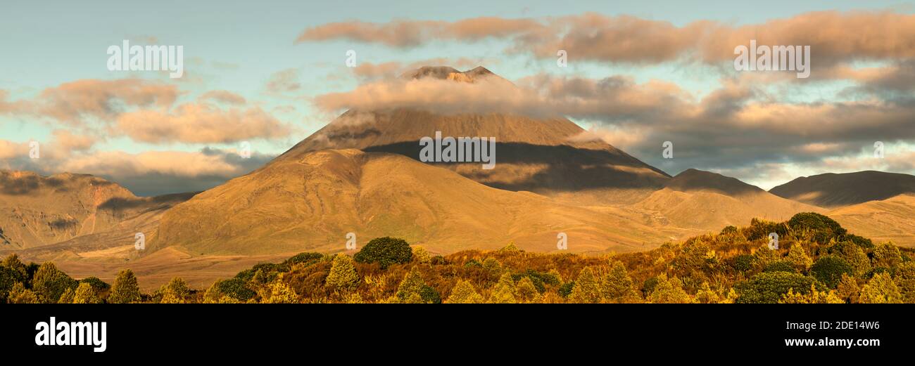 Il monte Ngauruhoe, parco nazionale di Tongariro, Sito Patrimonio Mondiale dell'UNESCO, Isola del nord, Nuova Zelanda, Pacific Foto Stock