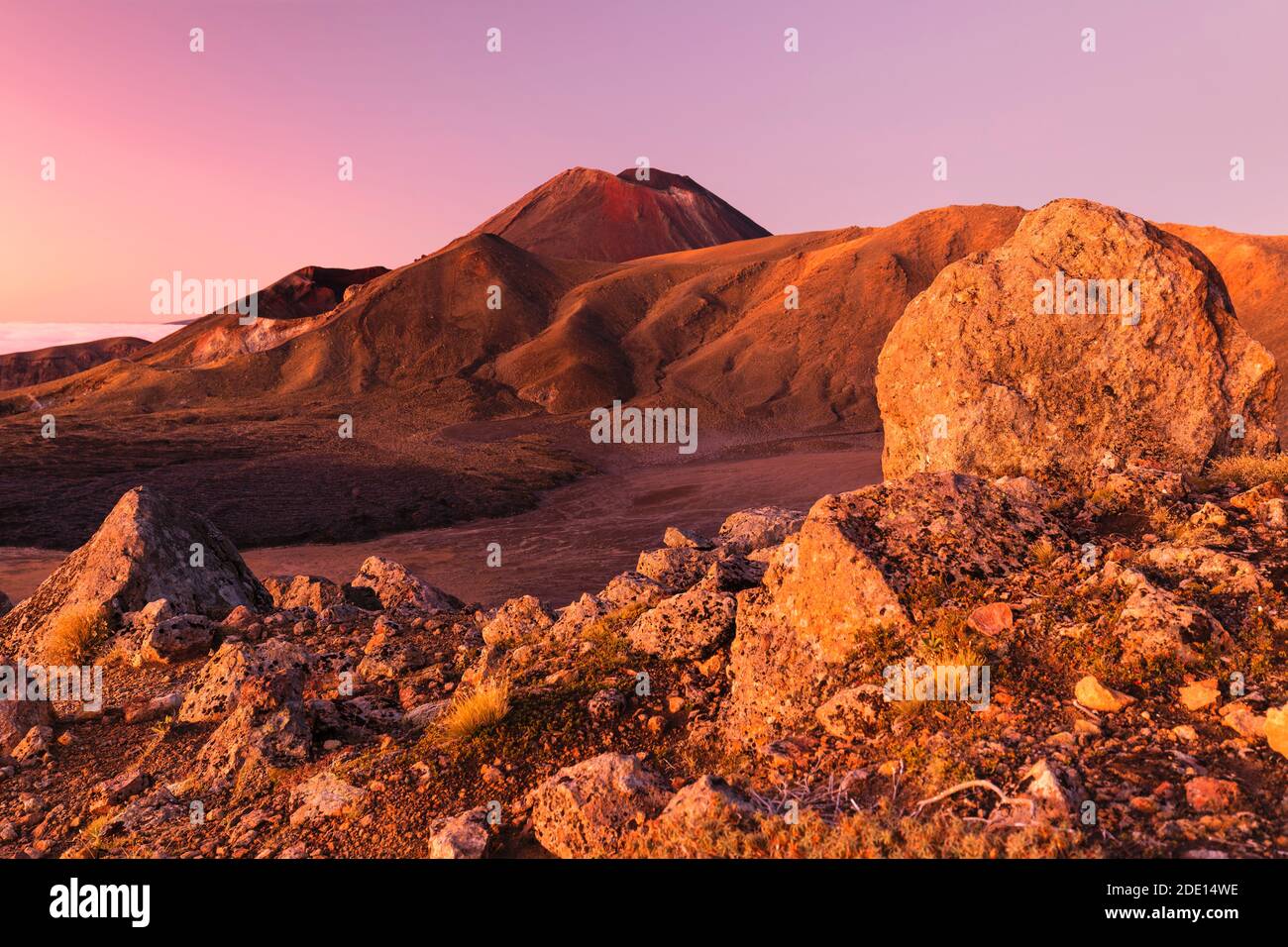 Monte Ngauruhoe all'alba, Parco Nazionale di Tongariro, Sito Patrimonio dell'Umanità dell'UNESCO, Isola del Nord, Nuova Zelanda, Pacifico Foto Stock