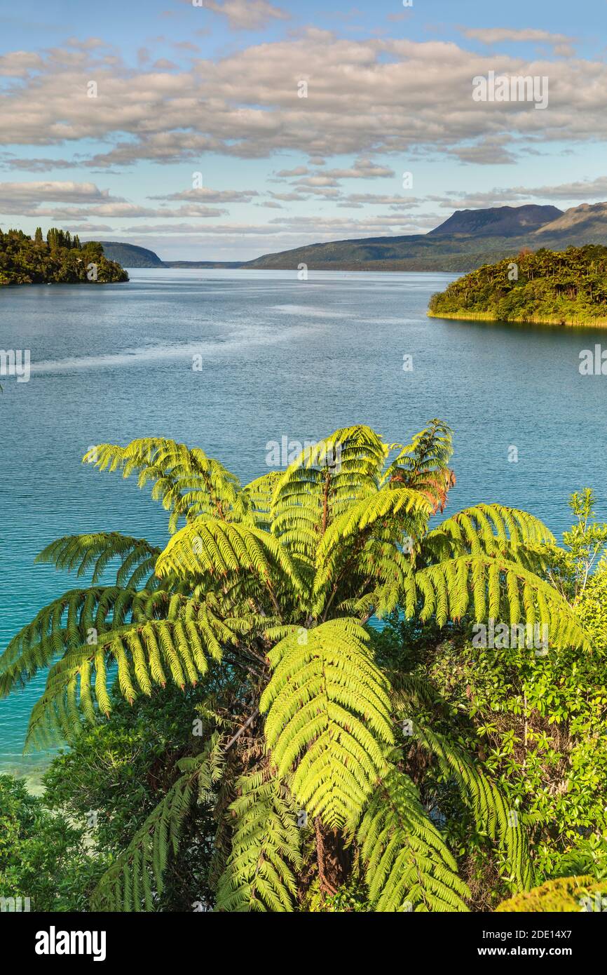 Lago Tarawera, Rotorua, Isola del Nord, Nuova Zelanda, Pacifico Foto Stock