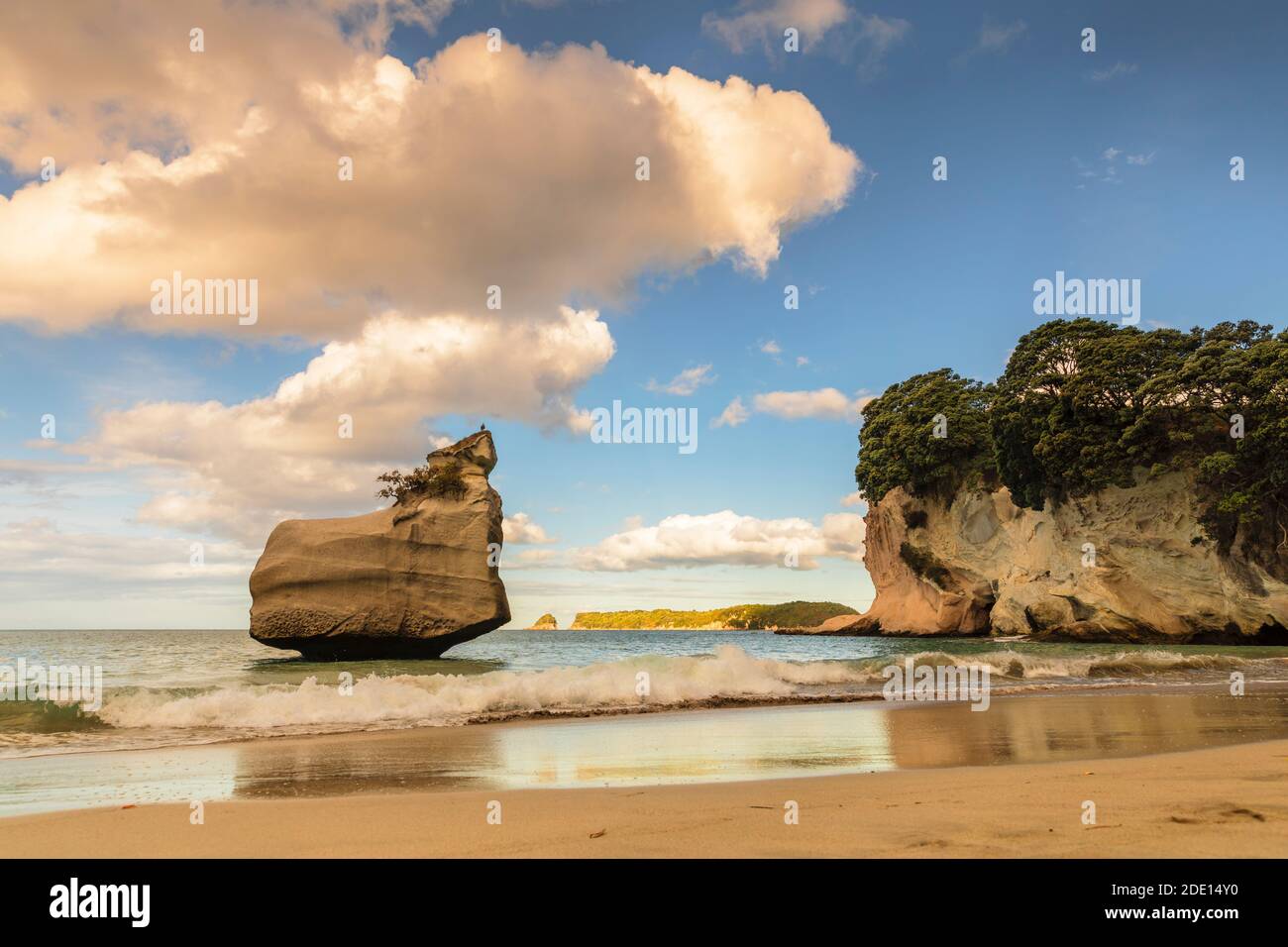 Spiaggia di Mare's leg Cove, Cathedral Cove Marine Reserve, Coromandel Peninsula, Waikato, Isola del Nord, Nuova Zelanda, Pacifico Foto Stock