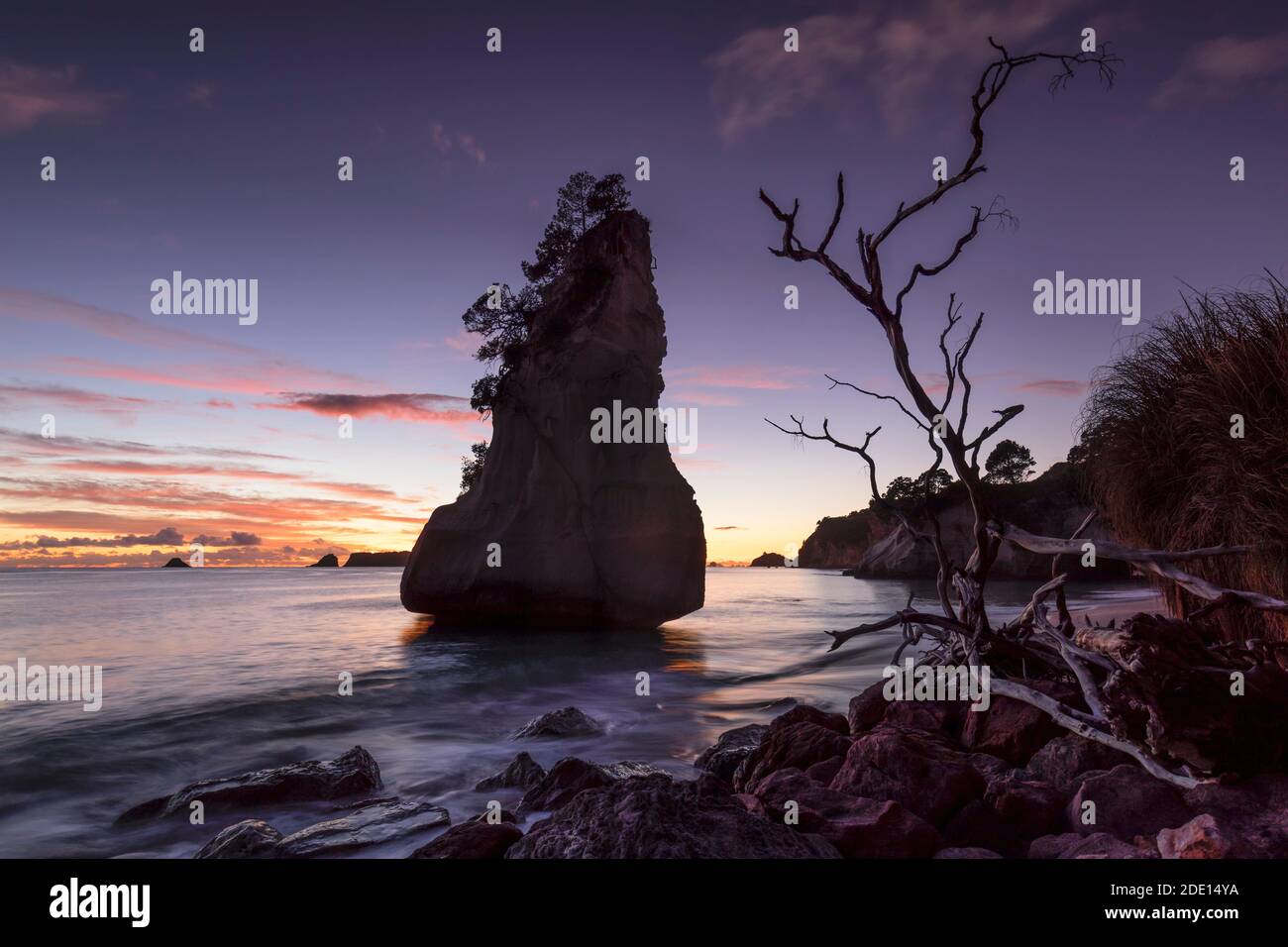 Cathedral Cove all'alba, Cathedral Cove Marine Reserve, Coromandel Peninsula, Waikato, Isola del Nord, Nuova Zelanda, Pacifico Foto Stock