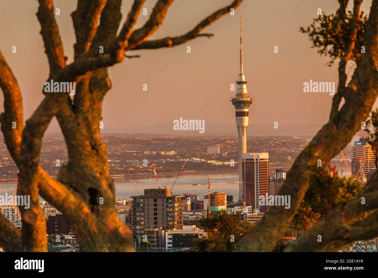 Alba a Mount Eden con Sky Tower, Auckland, Isola del Nord, Nuova Zelanda, Pacifico Foto Stock