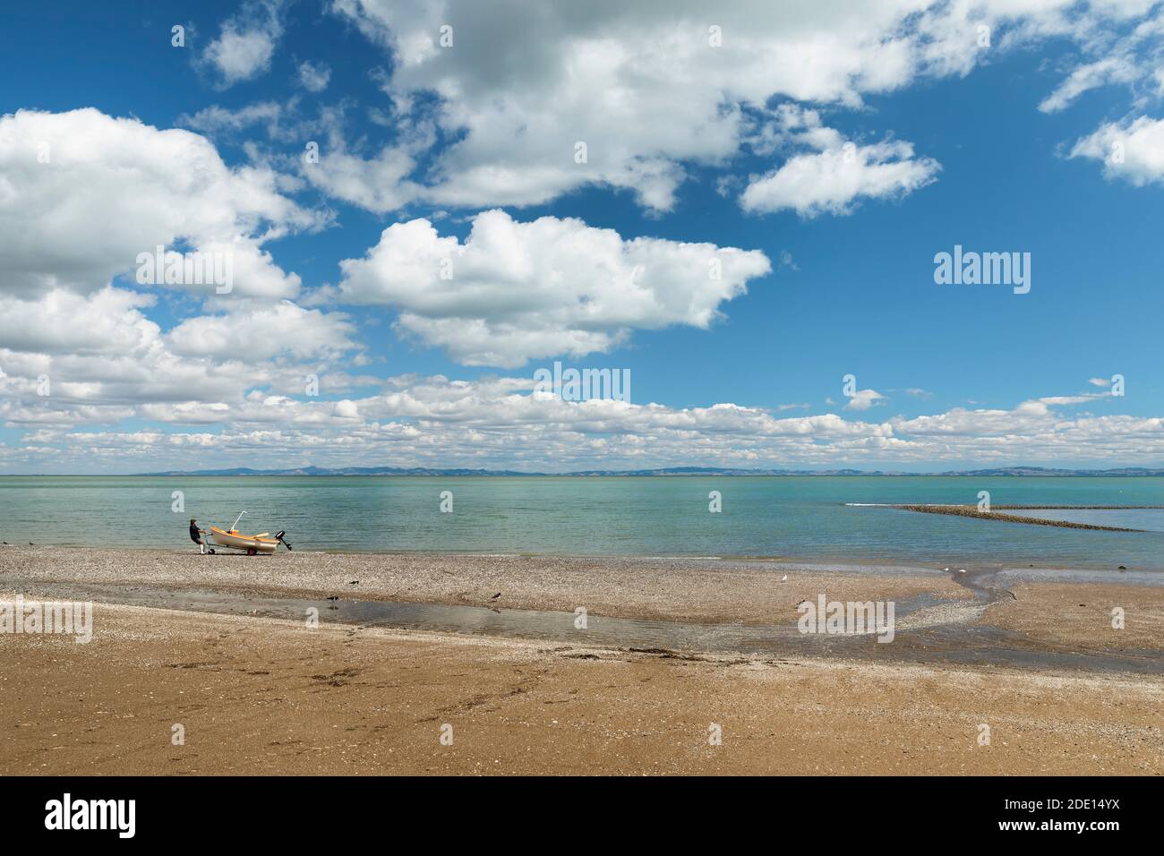 Firth of Thames, Waikato, Isola del Nord, Nuova Zelanda, Pacifico Foto Stock