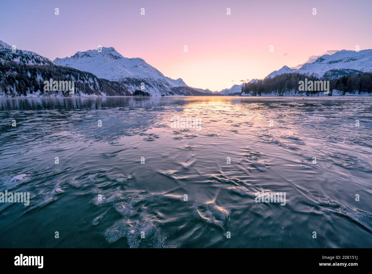 Rami di alberi intrappolati nel ghiaccio sotto la superficie congelata del Lago Sils al tramonto, Engadina, Cantone Graubunden, Svizzera, Europa Foto Stock