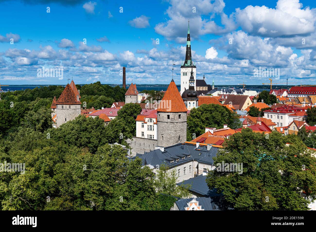Vista sulla città vecchia di Tallinn, patrimonio dell'umanità dell'UNESCO, Estonia, Europa Foto Stock