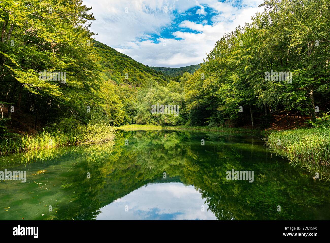 Bellissimo lago nella riserva naturale di Grza, Serbia, Europa Foto Stock