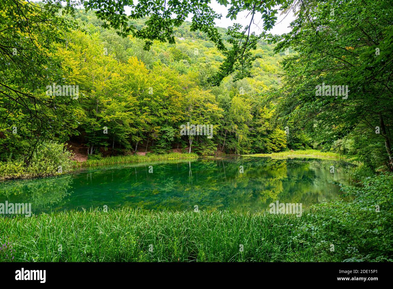 Bellissimo lago nella riserva naturale Grza, Serbia, Europa Foto Stock