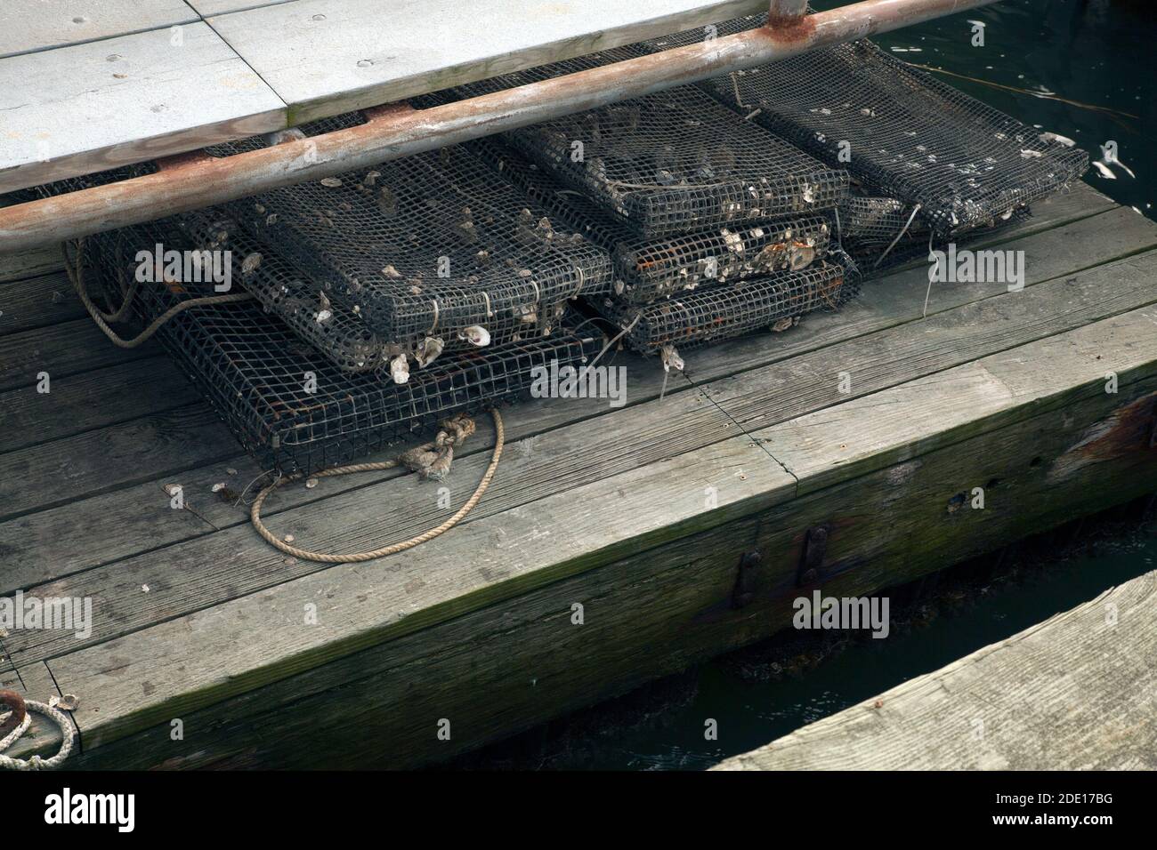 Gabbie di ostriche vuote sono impilate sul molo di Wellfleet Harbour, Wellfleet, Massachusetts. Foto Stock