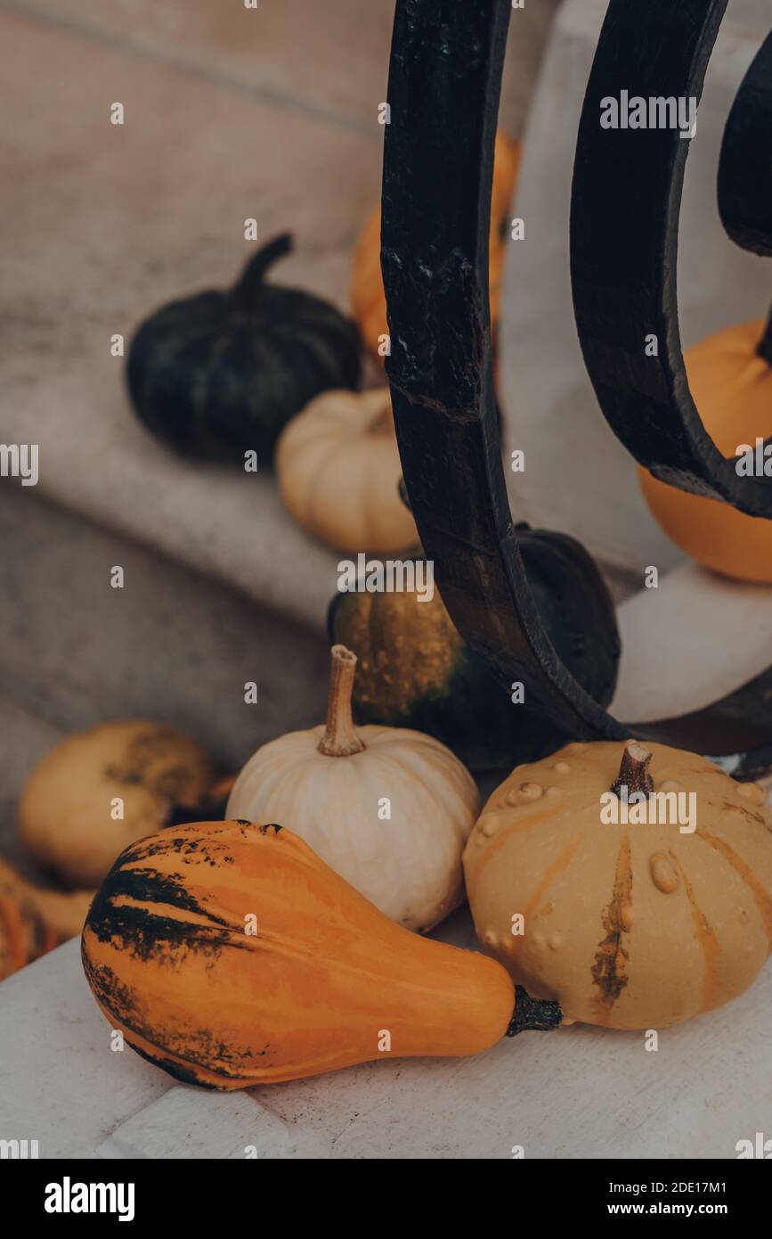 Varietà di diversi tipi di zucche e squash sulla soglia di una casa, Halloween decorazione. Foto Stock