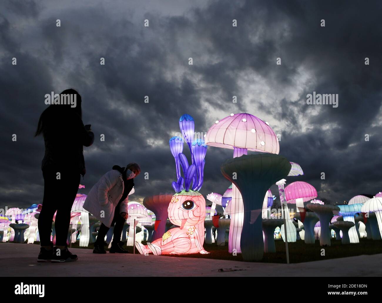 New York, Stati Uniti. 27 Nov 2020. I festaioli camminano sui terreni del LuminoCity Festival, la spettacolare vacanza delle sculture di luce, al tramonto la sera di apertura sul Randall's Island Park a New York City venerdì 27 novembre 2020. Quest'anno, il festival presenterà un tema nuovo di zecca e installazioni d'arte mai viste prima per 29 notti. Foto di John Angelillo/UPI Credit: UPI/Alamy Live News Foto Stock