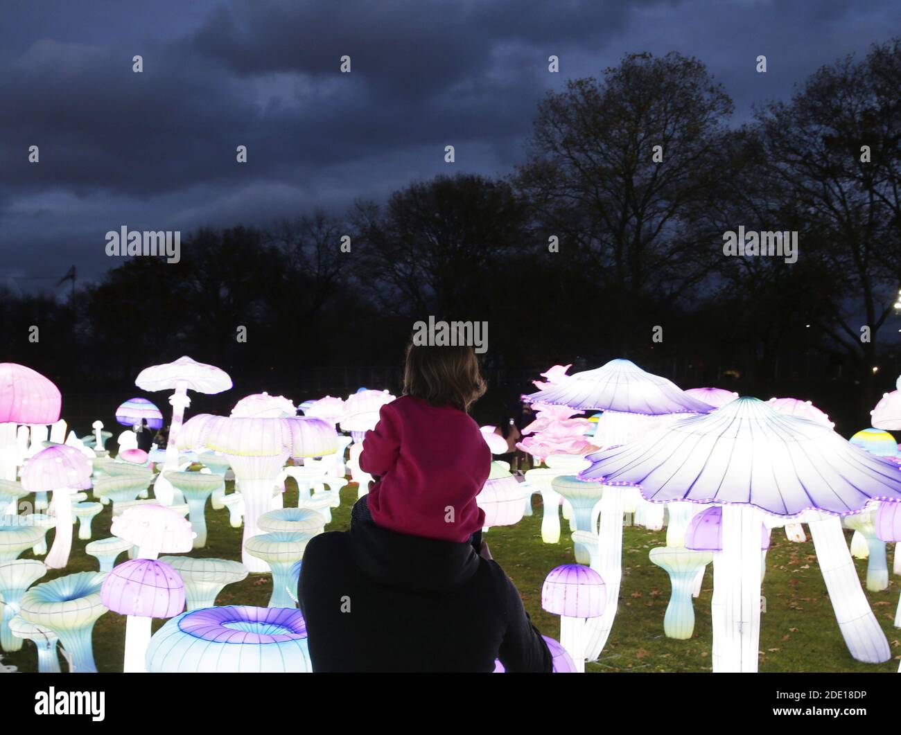 New York, Stati Uniti. 27 Nov 2020. I festaioli camminano sui terreni del LuminoCity Festival, la spettacolare vacanza delle sculture di luce, al tramonto la sera di apertura sul Randall's Island Park a New York City venerdì 27 novembre 2020. Quest'anno, il festival presenterà un tema nuovo di zecca e installazioni d'arte mai viste prima per 29 notti. Foto di John Angelillo/UPI Credit: UPI/Alamy Live News Foto Stock