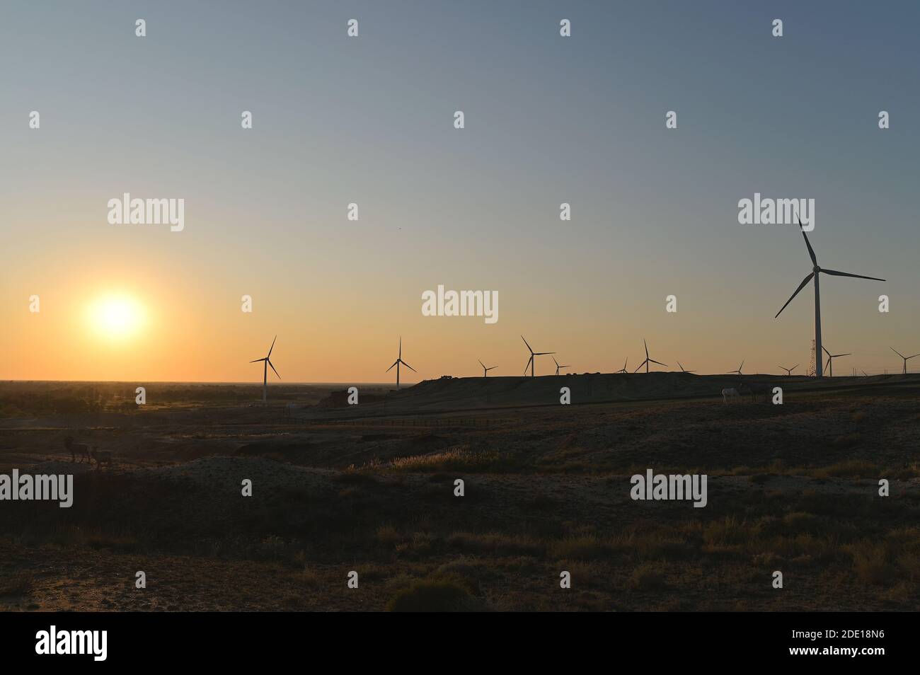 Vista al tramonto dell'estesa fattoria eolica situata nel deserto vicino a Wucaitan, Burqin County, Xinjiang settentrionale, Cina Foto Stock
