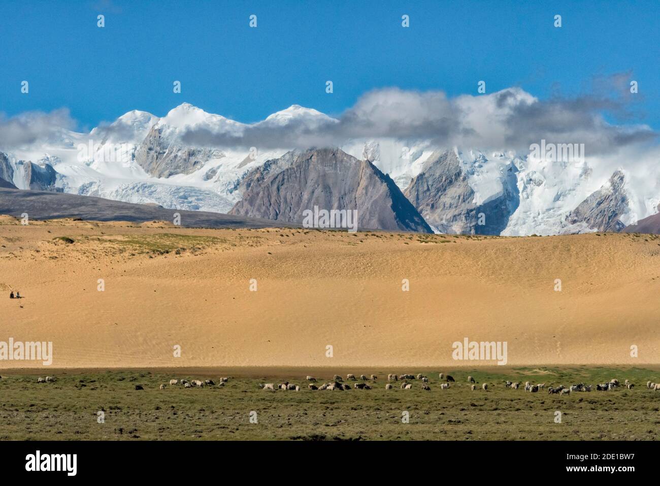 Cime innevate dell'Himalaya, Prefettura di Shigatse, Tibet, Cina Foto Stock