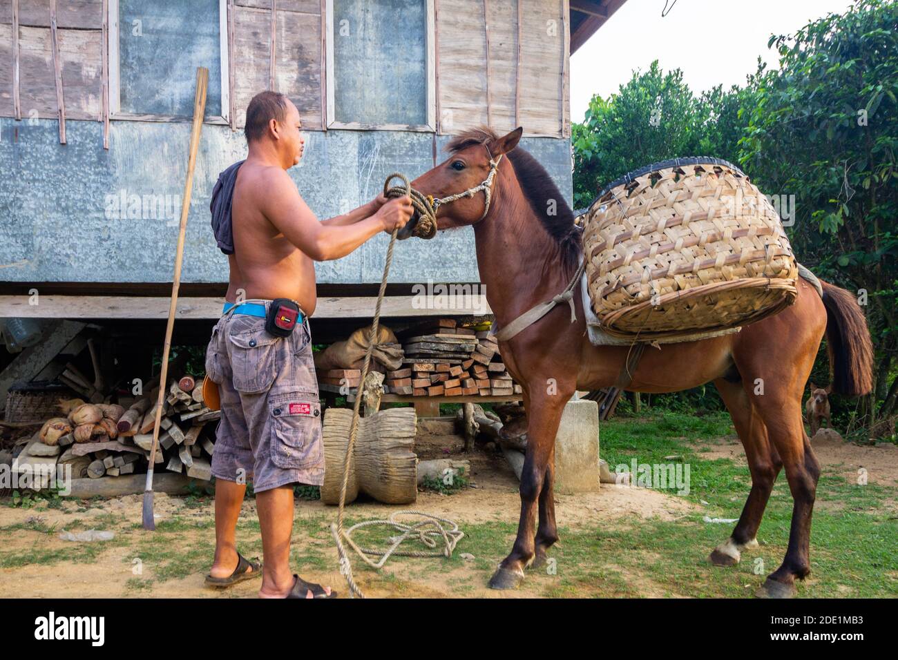 Un lavoratore agricolo che carica il suo cavallo per la giornata lavorativa in una comunità montana di Batangas, Filippine Foto Stock