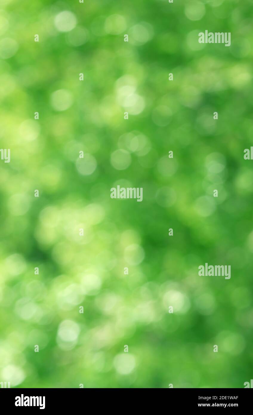 Immagine verticale del bokeh verde del fogliame alla luce solare per sfondo astratto o sfondo Foto Stock