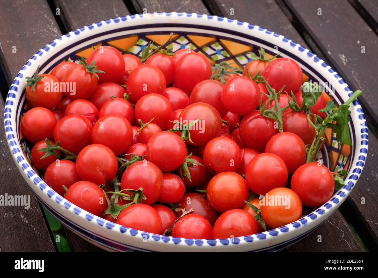 Pomodori Losetto coltivati in casa Foto Stock