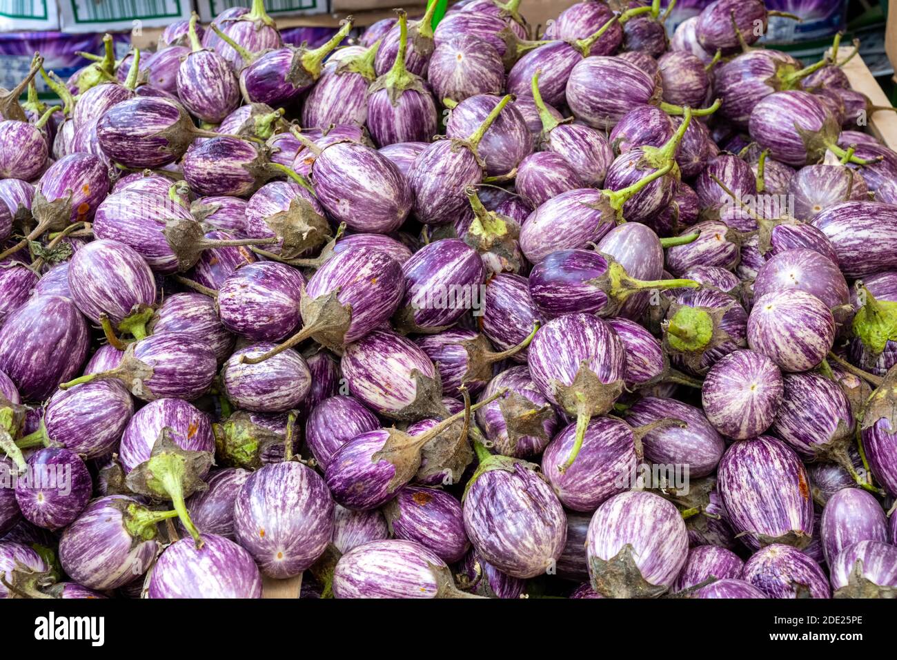 Melanzane mature in vendita in un mercato di Venezia Foto Stock