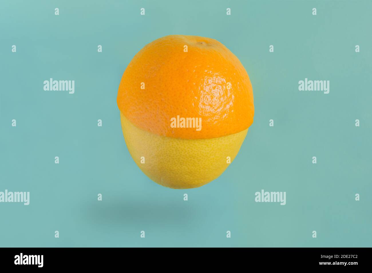 Metà del limone e dell'arancio si unirono insieme a forma di galleggiamento di acorno su sfondo blu. Cucina creativa e cibo. Foto Stock