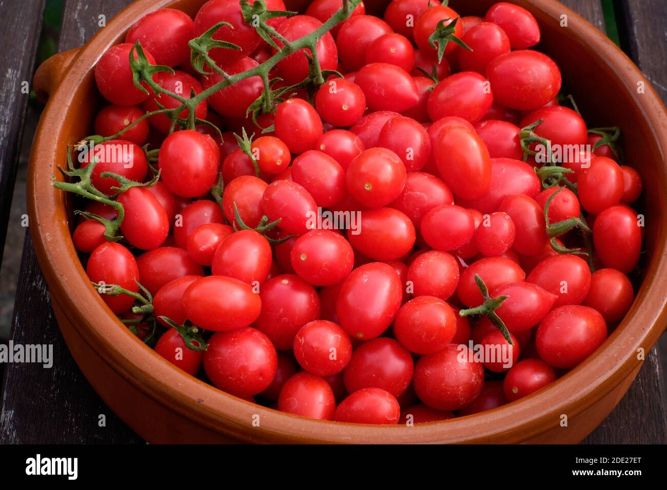 Pomodori Romello coltivati in casa Foto Stock