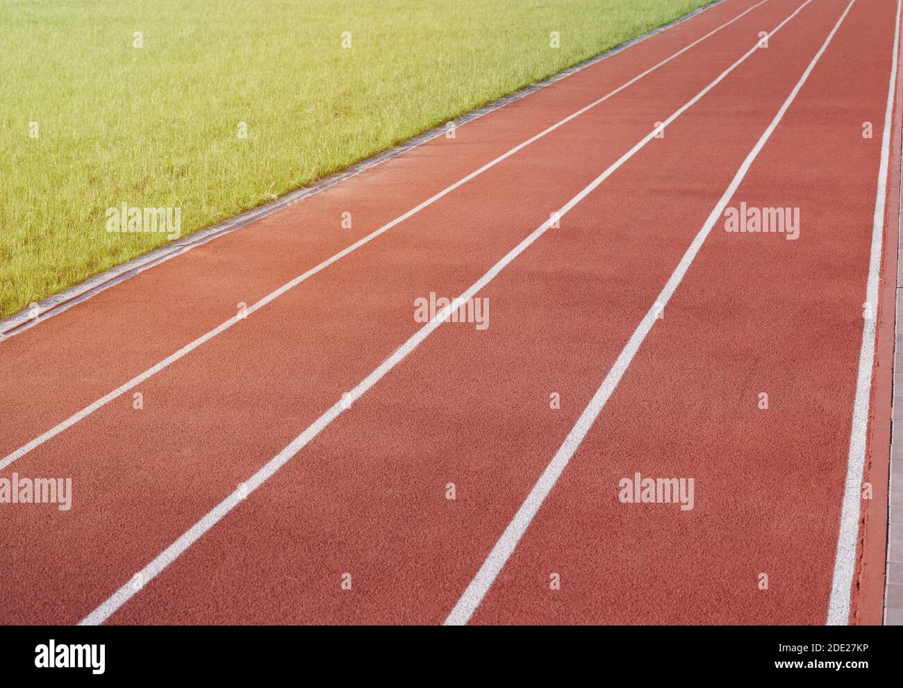 Running rosso dritto linee vuote sullo stadio Foto Stock