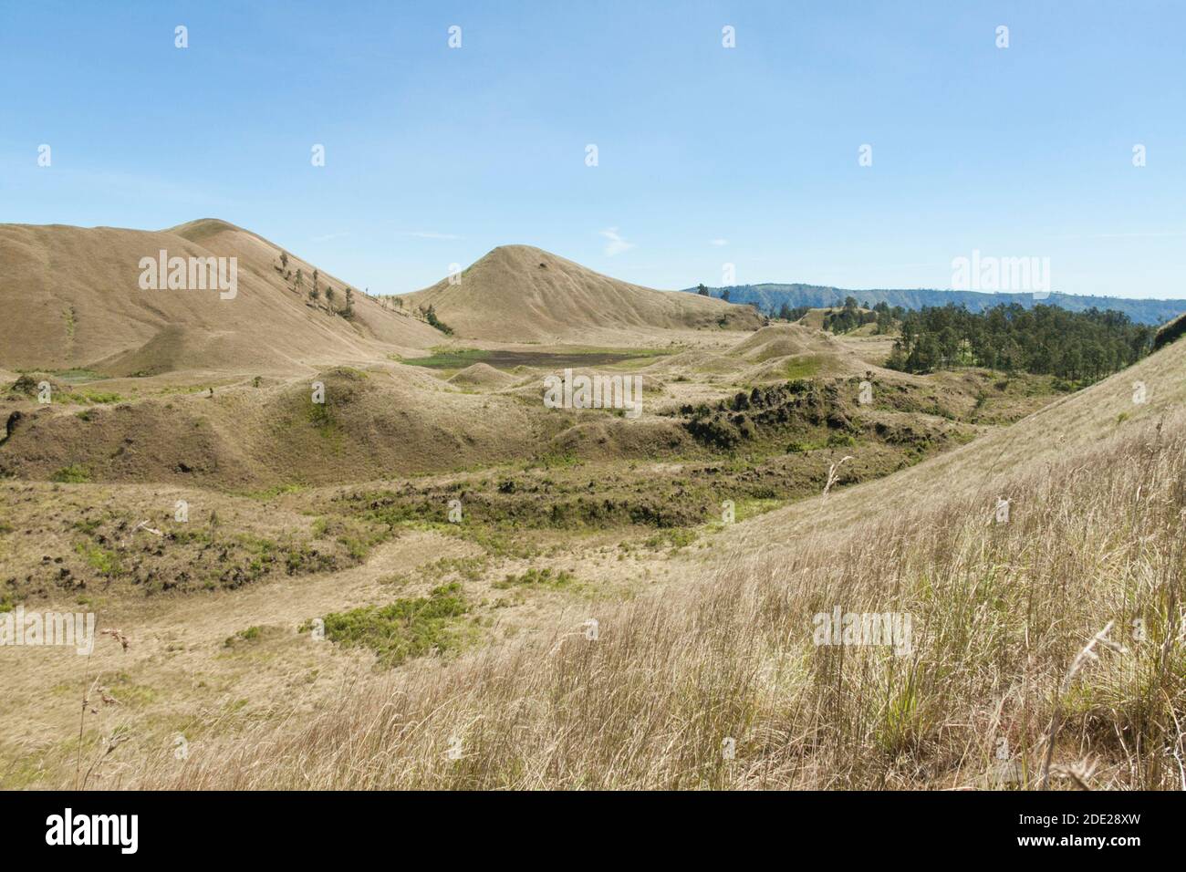 Il cratere di Wurung è una zona collinare e savana, una delle destinazioni turistiche nel distretto di Bondowoso, Giava Orientale, Indonesia. Foto Stock