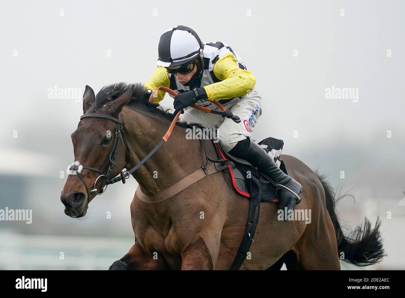 La prossima destinazione guidata da Harry Cobden cancella l'ultimo a vincere la caccia alle novizie Ladbrokes John Francome all'ippodromo di Newbury. Foto Stock