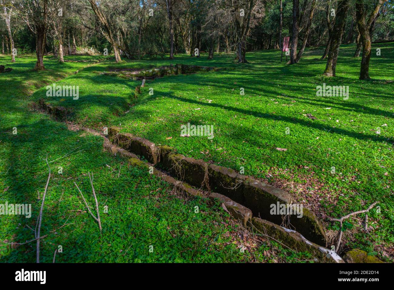 Irrgation systen in tempi antichi, rovine della missione gesuita Santa Ana, Patrimonio Mondiale dell'UNESCO, Provincia Misiones, Argentina, America Latina Foto Stock