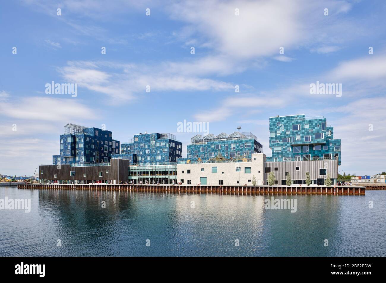 Copenhagen International School (CIS), progettato da C.F. Møller Architects (2017); Levantkaj, Copenaghen, Danimarca Foto Stock