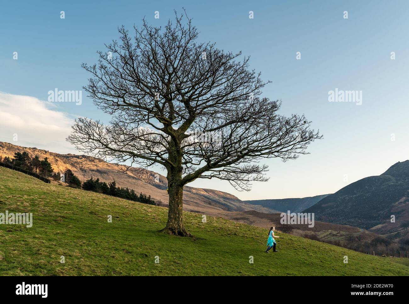 un bambino corre lungo un lato di collina vicino al lone albero, colomba serbatoio di pietra Foto Stock