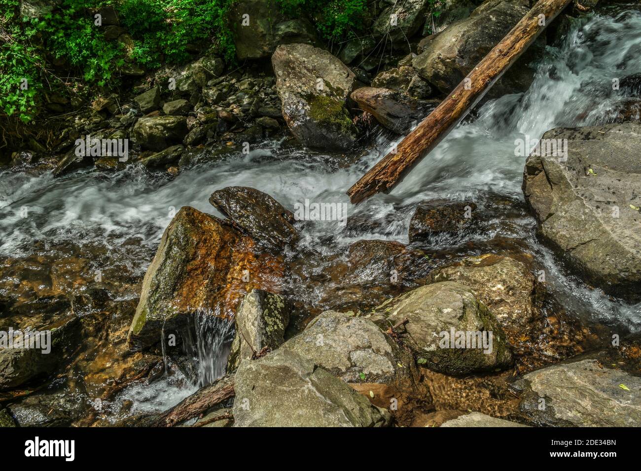 Acqua bianca in rapido movimento che si spriglisce sulle rocce e sui massi in corso a valle della montagna con un tronco e un fogliame caduti sullo sfondo di una b Foto Stock