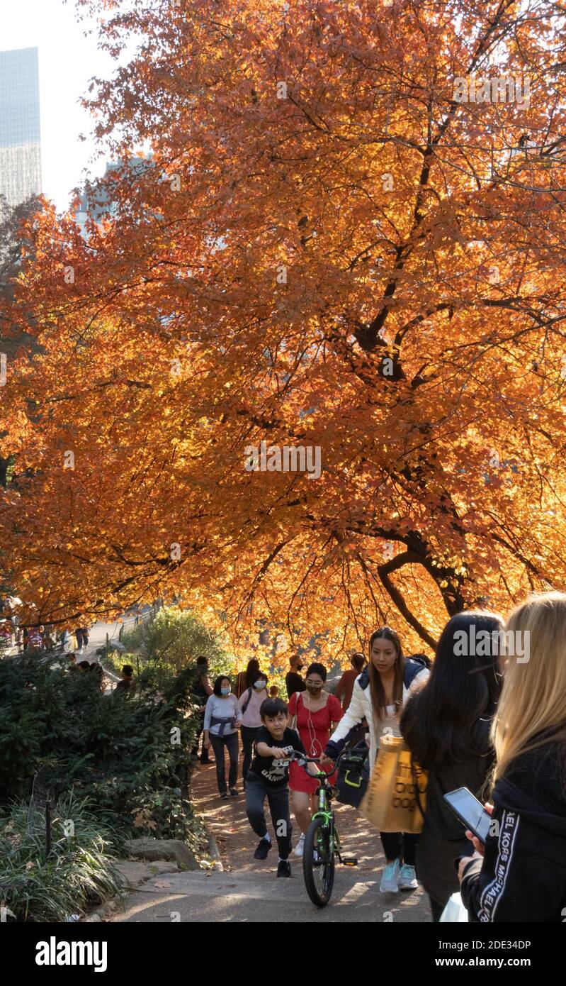 I turisti e i newyorkesi godono di un pomeriggio di autunno al Pond in Central Park, New York, USA Foto Stock