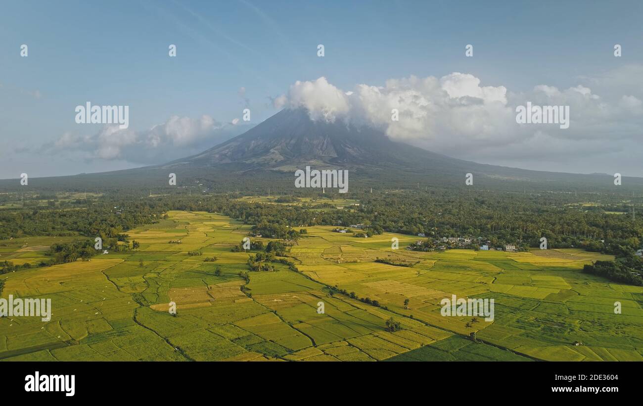 Prato verde all'eruzione del vulcano Mayon. Nessuno paesaggio naturale di nebbia nuvolosa sopra il monte. Scenario tropicale di bellezza naturale della campagna di Legazpi, Filippine, Asia. Scatto con drone cinematografico Foto Stock