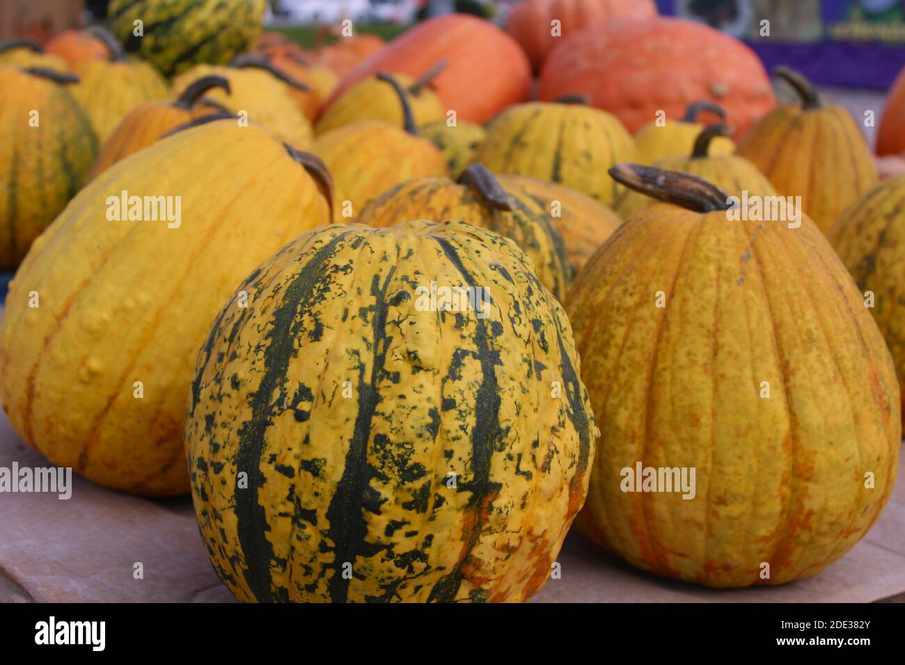 Immagine ravvicinata delle zucche in un mercato agricolo Foto Stock