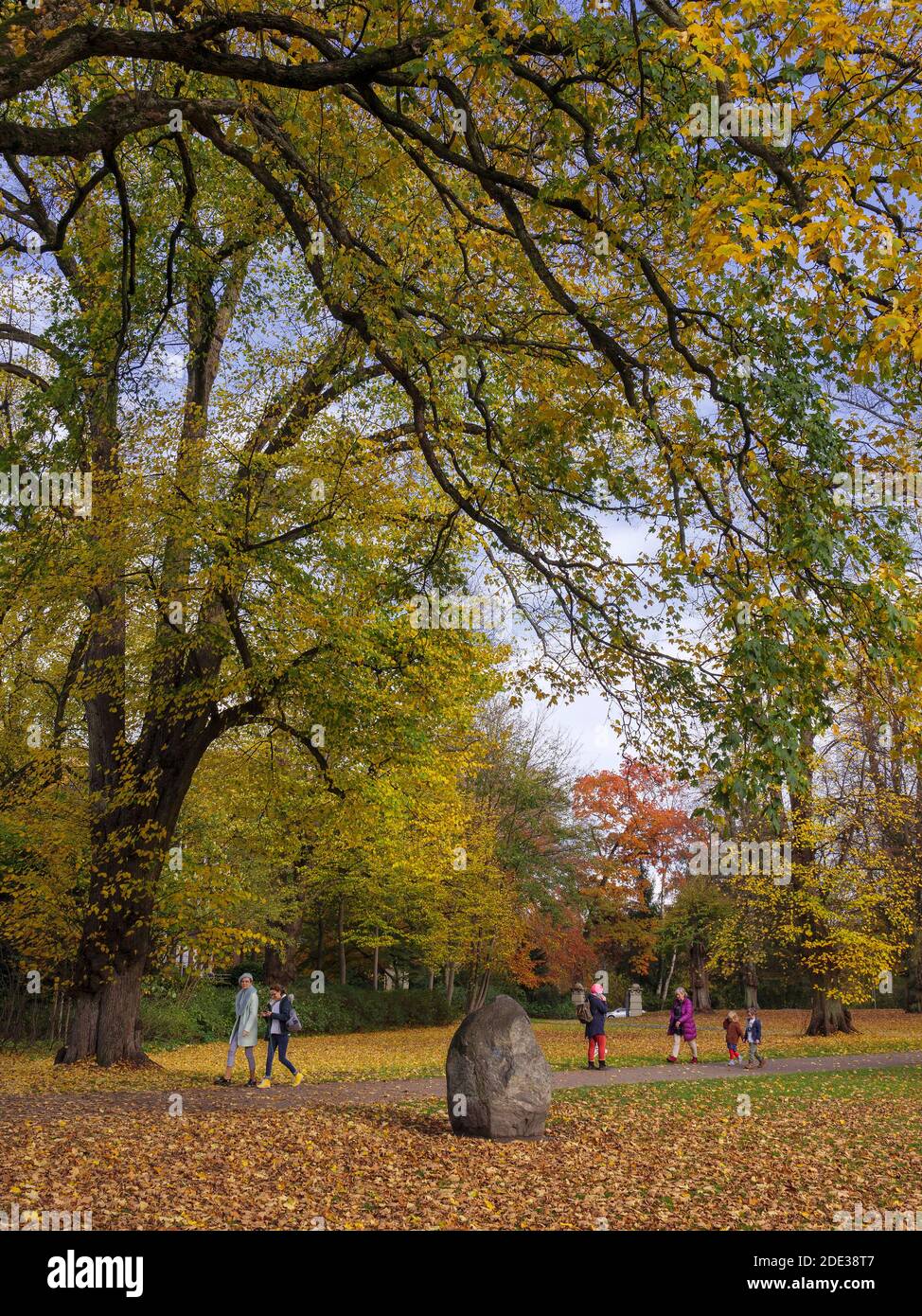 Estate indiana, Hirschpark ad Amburgo-Blankenese, Germania, Europa Foto Stock