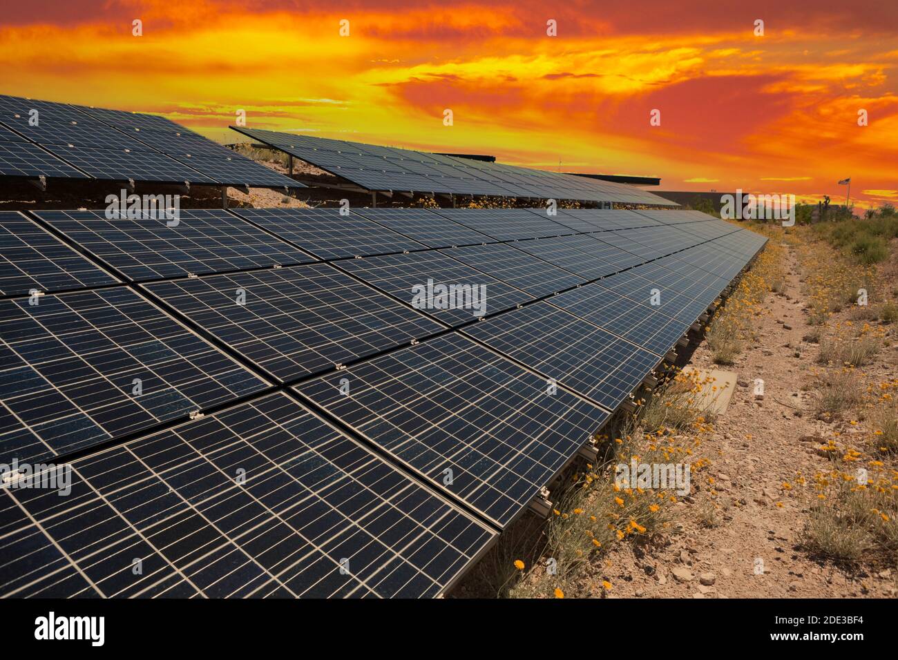 Grande array solare con cielo al tramonto sul parco federale degli Stati Uniti nel deserto di Mojave. Foto Stock